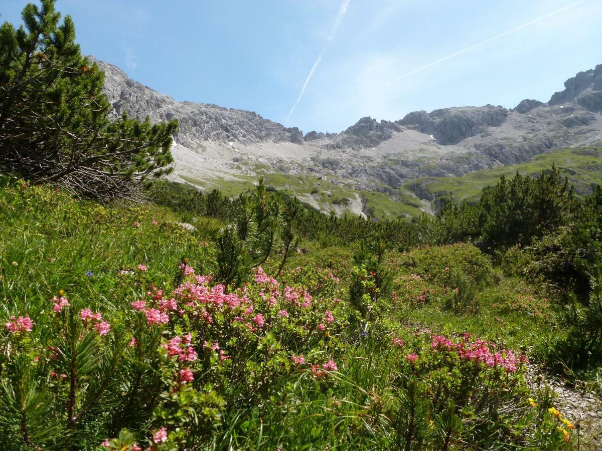 Auszeit Im Allgaeu Sonthofen Dış mekan fotoğraf